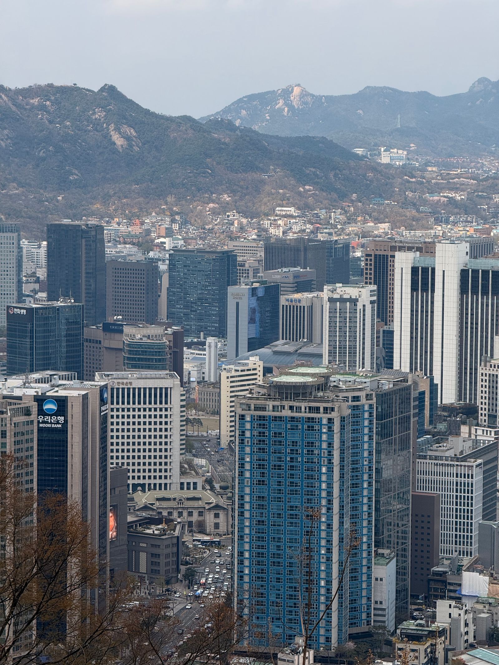 서울 도심과 산의 전경